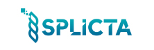 Splicta: Turning Data Into a Business Advantage