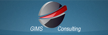 Gims consulting