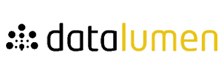 Datalumen - Top Master Data Management Solutions companies Datalumen